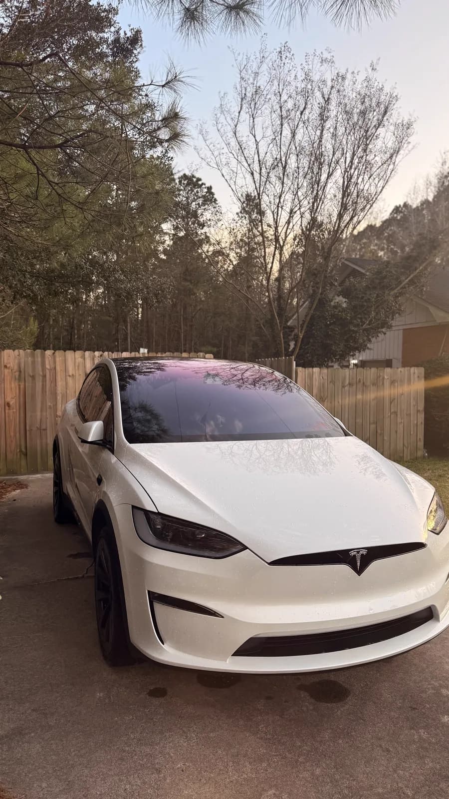 Detailed white Tesla Model X